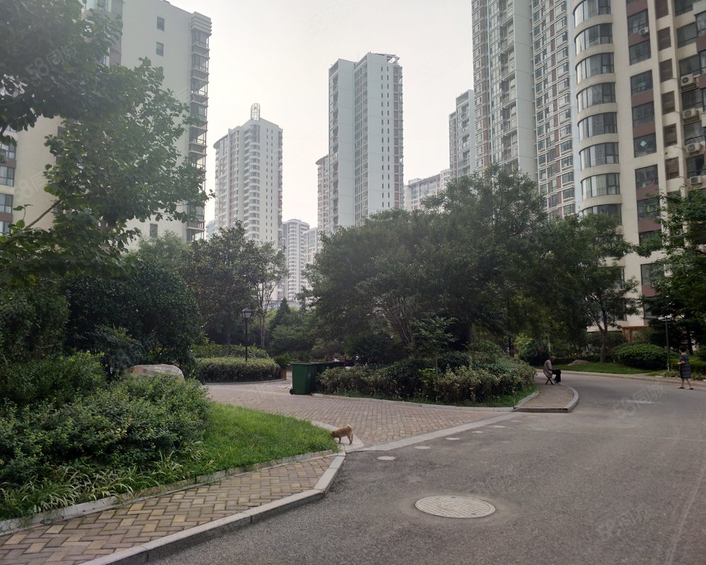 【鲁商凤凰城, 鲁商凤凰城小区详情,房价走势,房源,业主论坛】- 临沂