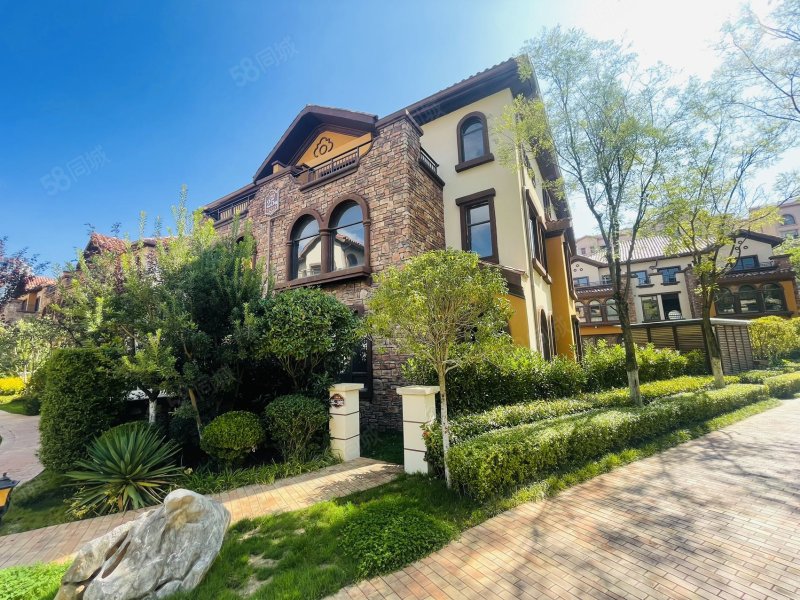 北部新洲莱茵别墅5室2厅3卫260㎡东西198万