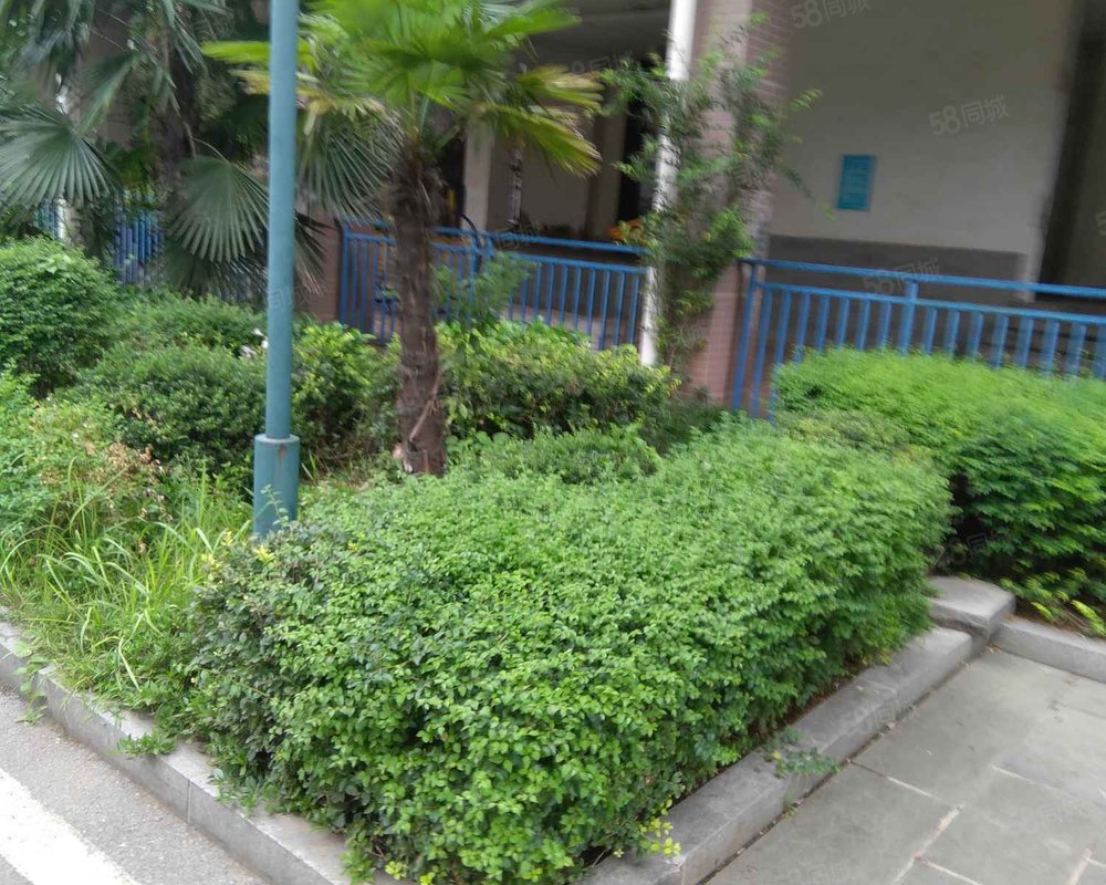 【瑞都华庭, 瑞都华庭小区详情,房价走势,房源,业主论坛】- 长沙58