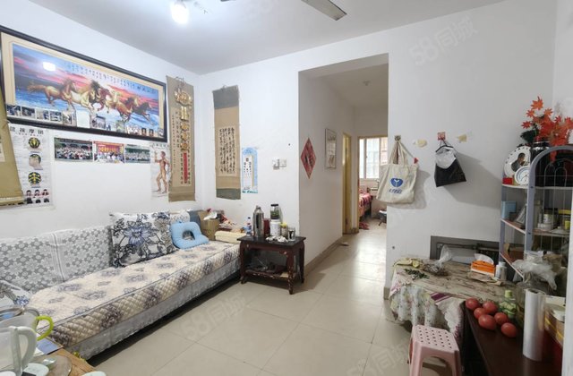 望湖花园二期！两室两厅！中间楼层！免大税！