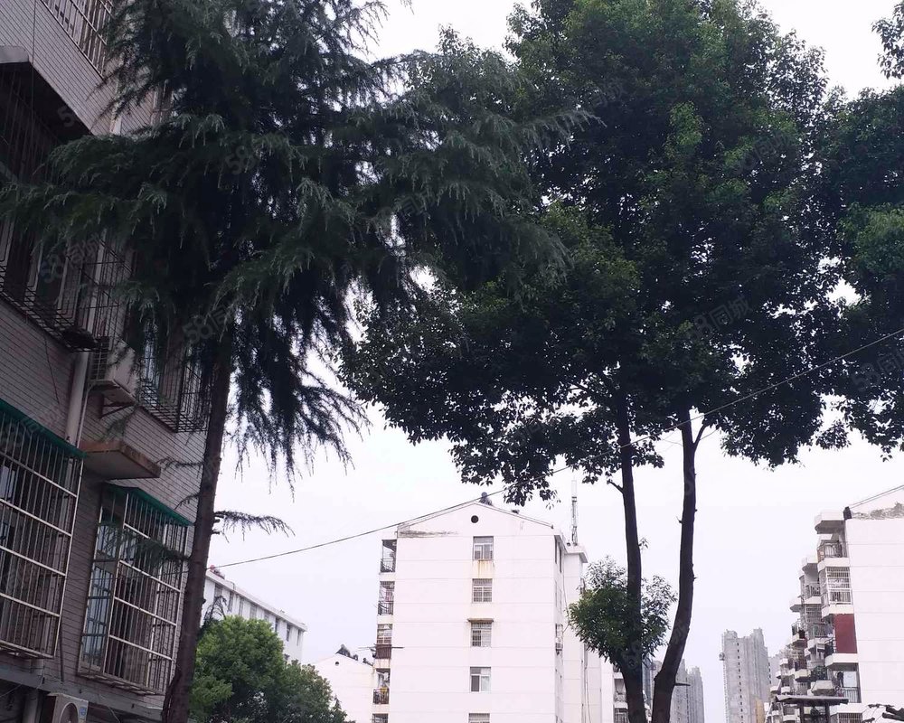 【梅园小区, 梅园小区小区详情,房价走势,房源,业主论坛】- 武汉58