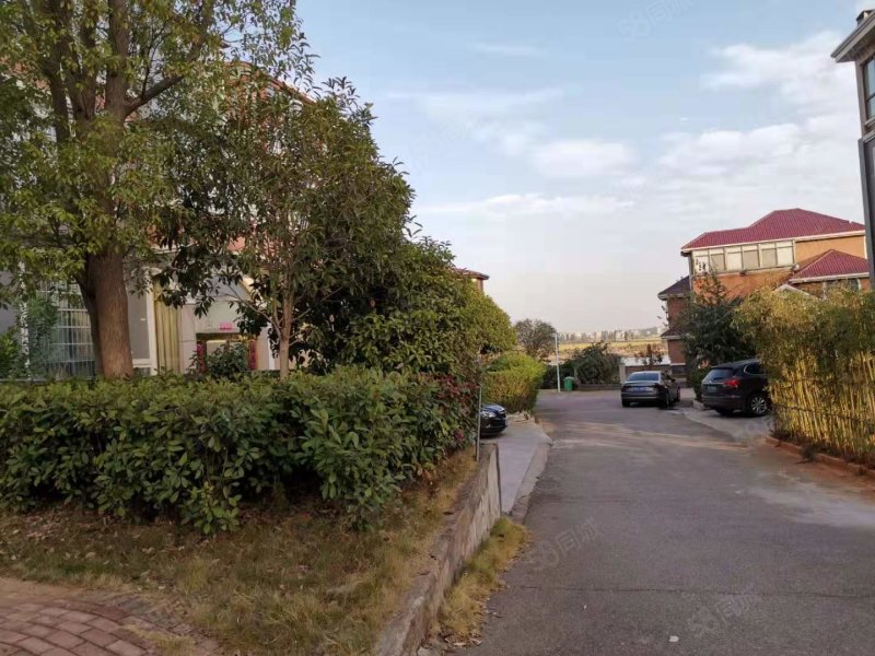 半岛豪园 正规小区 精装修 南北通透 进贤新区 拎包入住