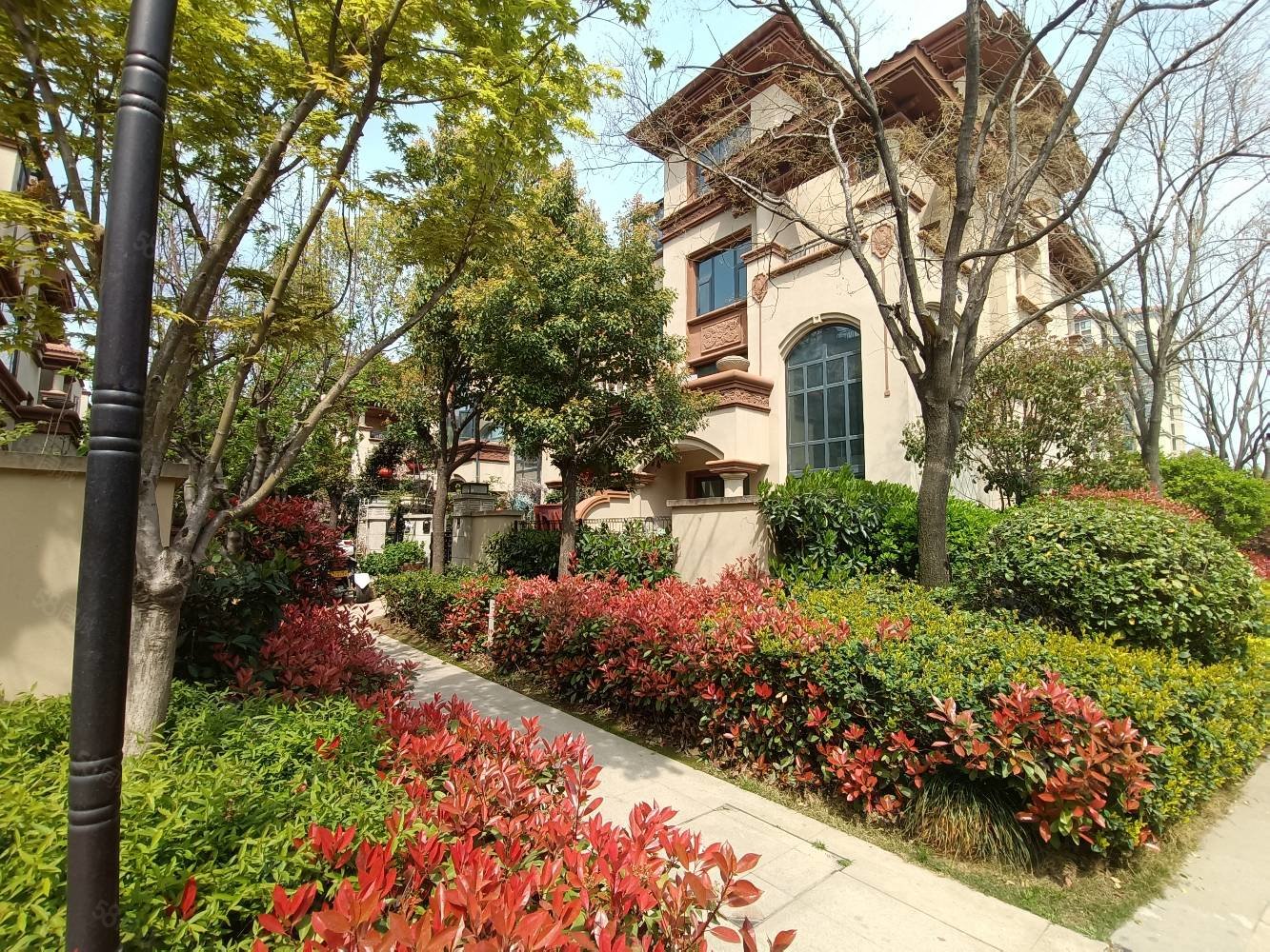 美盛白河湾(别墅)5室2厅3卫212㎡南北430万