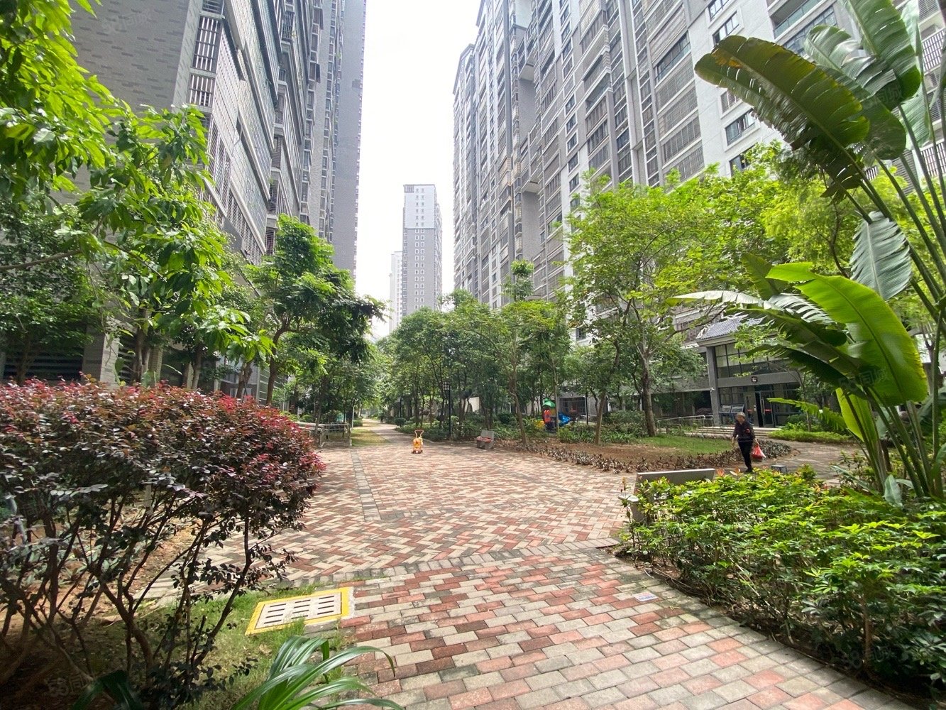 岭南明珠三期3室2厅2卫147㎡东117万