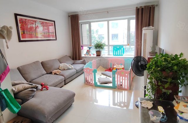 中巨一品家苑  电梯洋房