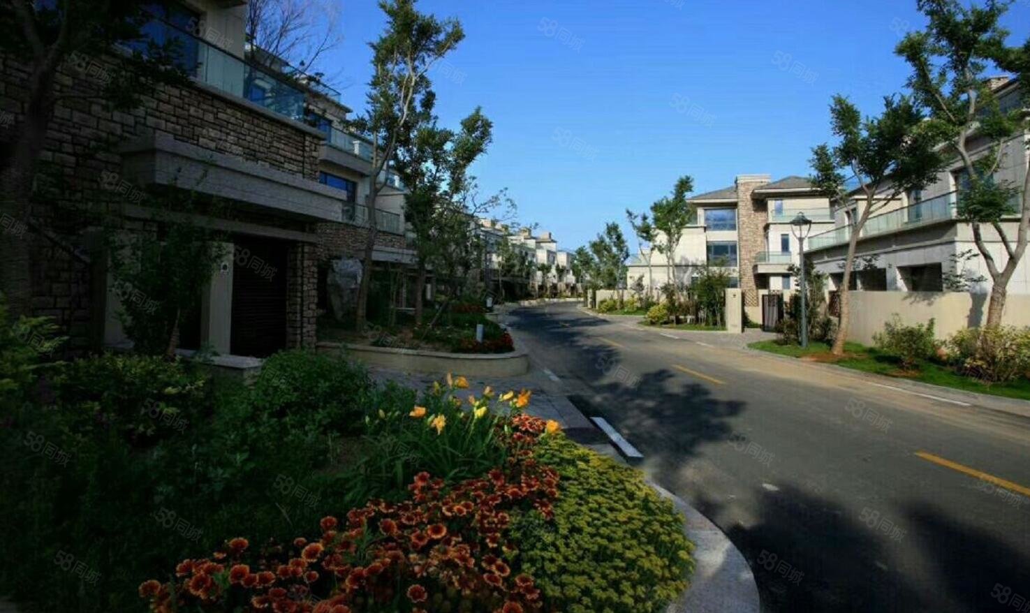 天屹碧海庄园 大联排户型 带车库 看海大露台使用近六百平米