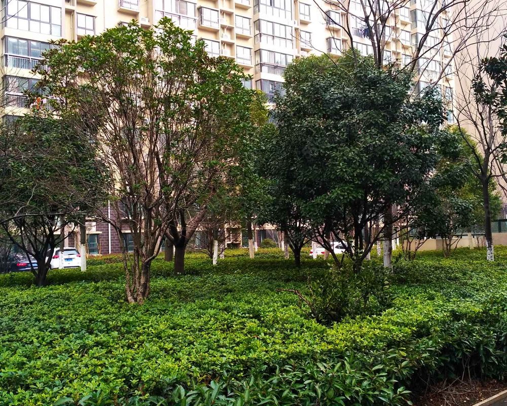 康居新城(东苑)