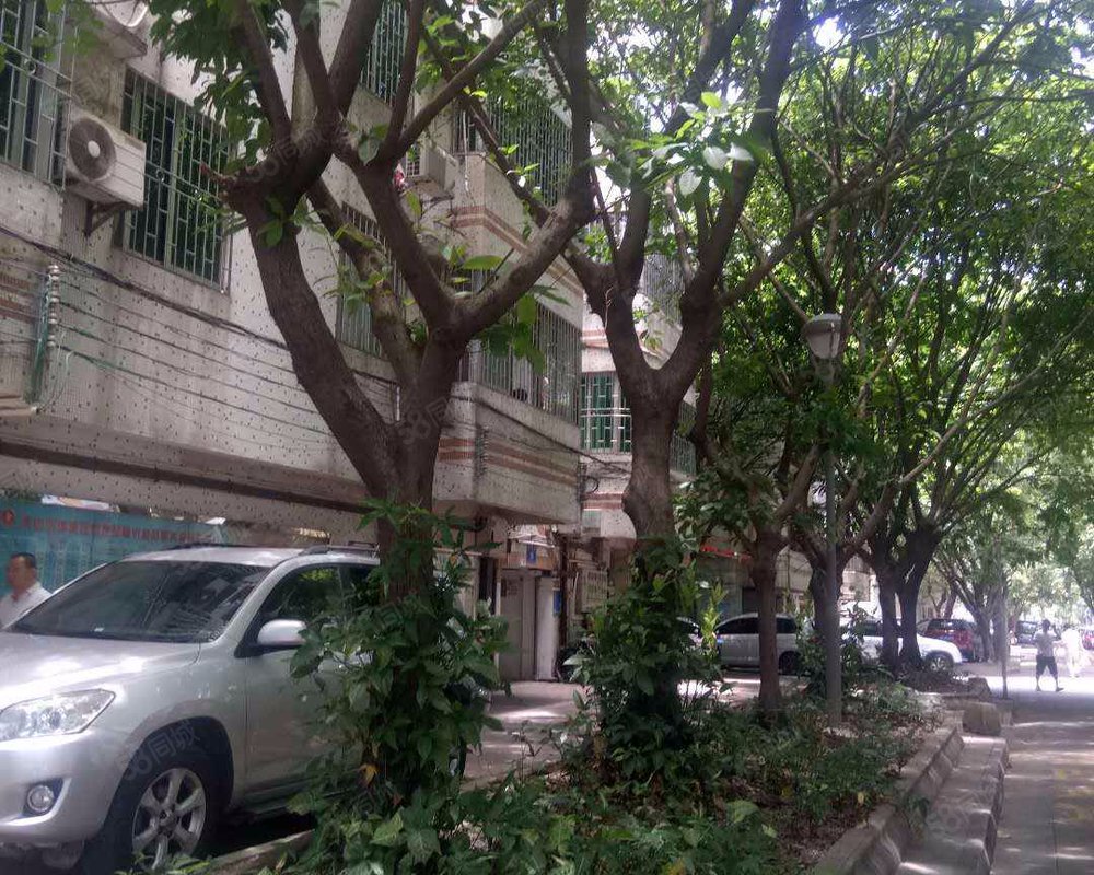 【唐园小区, 唐园小区小区详情,房价走势,房源,业主论坛】- 佛山58