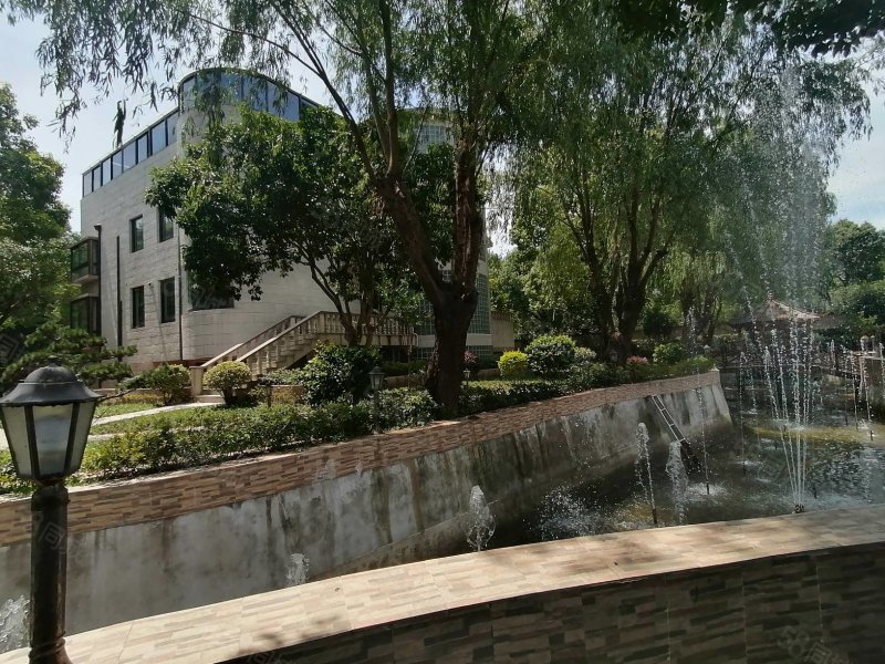 松江泗泾云顶别墅独栋485平2900w占地二亩超大花园近地铁