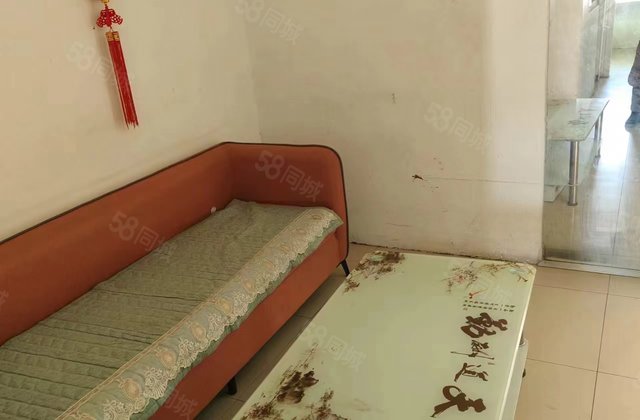 老文轩一路之隔 步梯地暖房 精装修有储藏室 南北通透随时看房