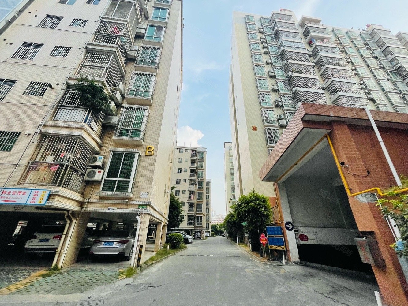 客家公园附近佳和花园116平方精装三房二卫朝南