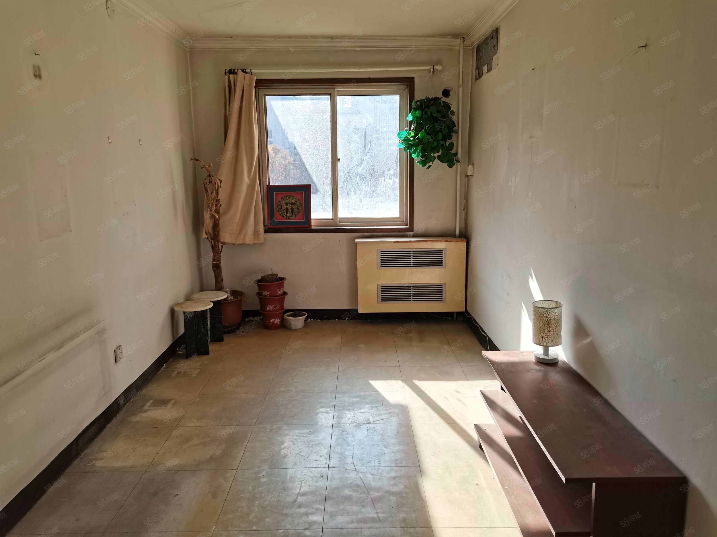 東中街小區(qū)(西區(qū))3室1廳1衛(wèi)77.82㎡南北610萬