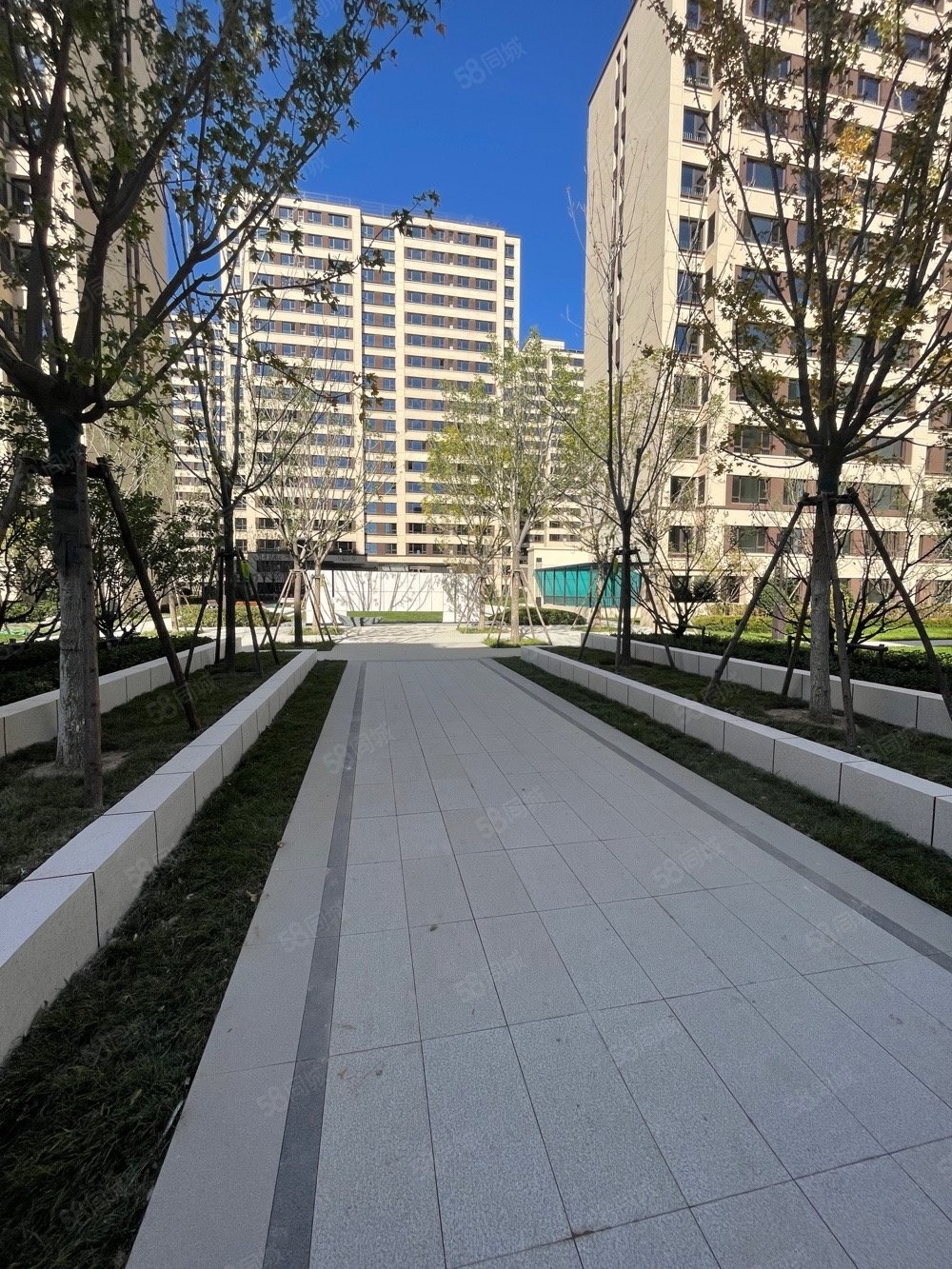 竞秀区 ,保定三中,一折车位,金茂悦-保定58同城