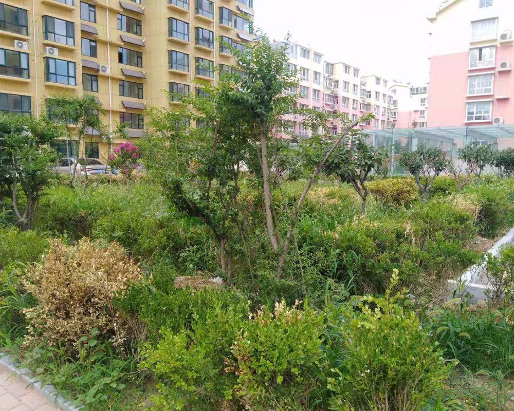 杨春龙郡