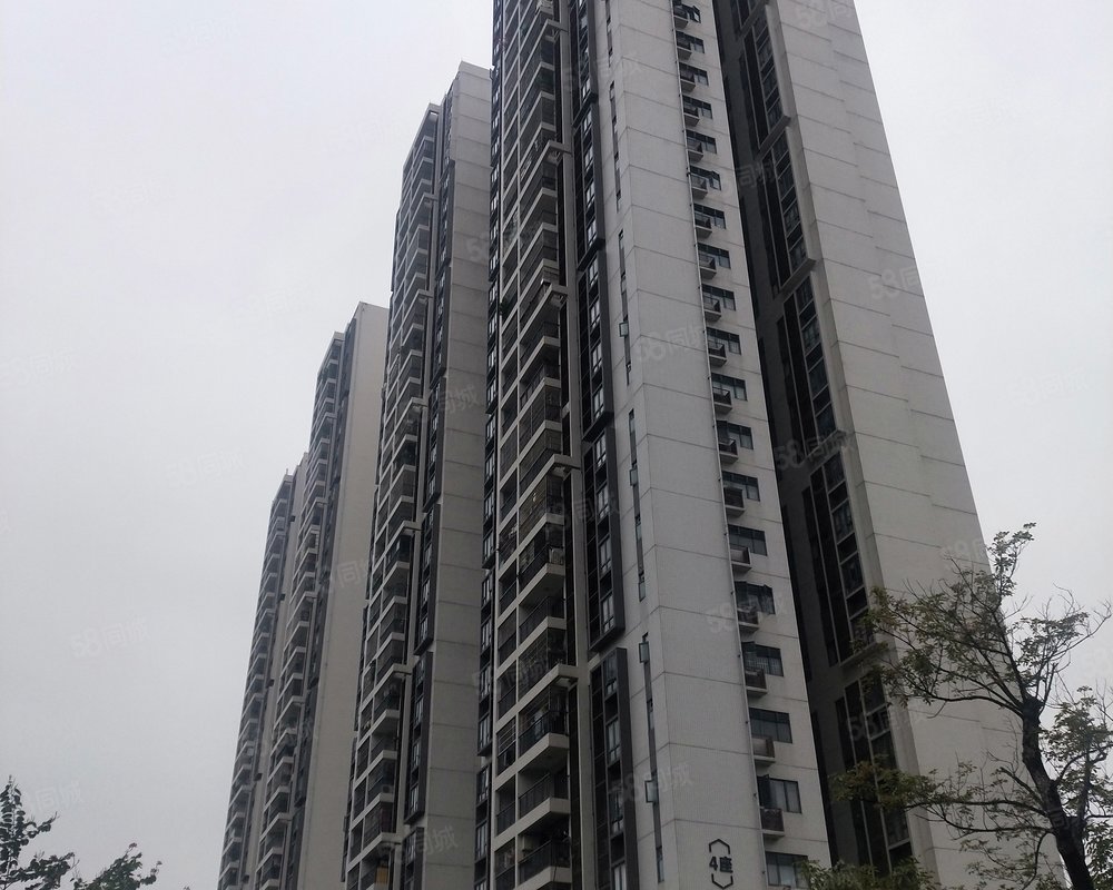 【富力新居, 富力新居小区详情,房价走势,房源,业主论坛】- 佛山58