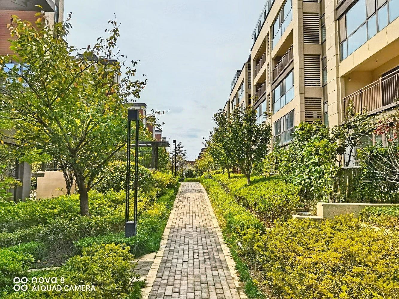 【10图】电梯洋房 精装套三双卫 中间楼层 有钥匙,越秀臻悦府-青岛58