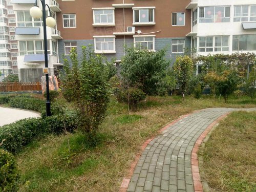 【尚达绿都房价走势,尚达绿都房屋出租,尚达绿都二手房出售】- 保定58