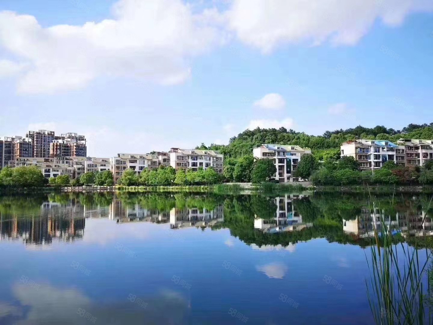 和顺苑临湖别墅上叠纯毛坯改善大户型住宅随时可以看房