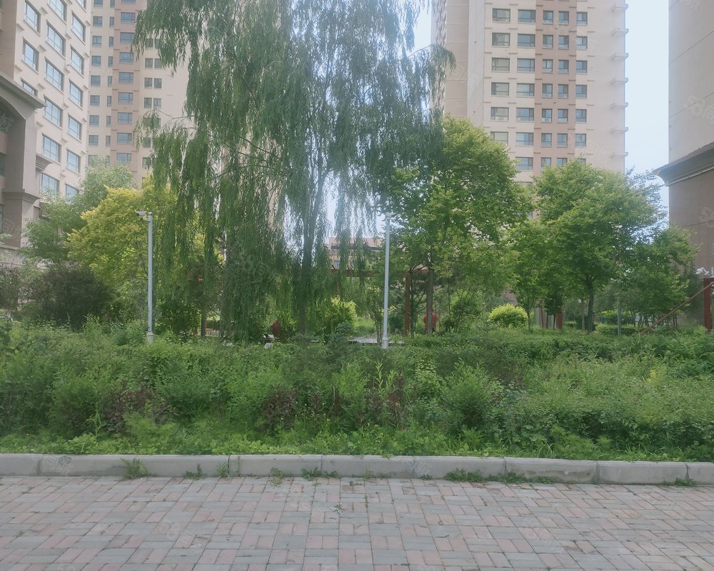 青唐小镇西苑小区详情,房价走势,房源,业主论坛】- 西宁58同城