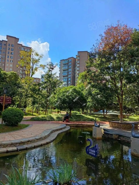 丽水雅苑    龙头街115万预约看房 2房 豪装89.2平