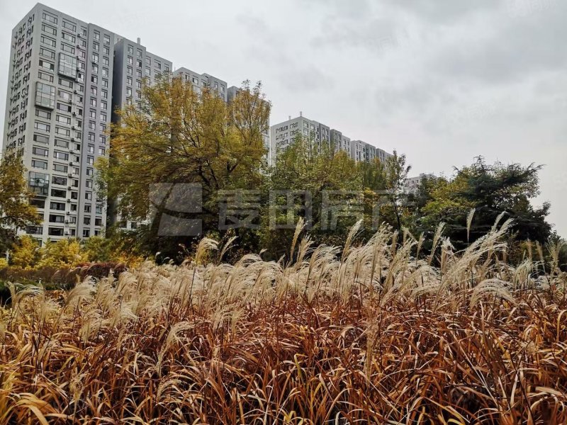 蘋果社區(qū)(南區(qū))2室2廳2衛(wèi)96㎡北510萬