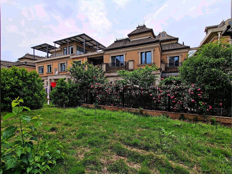 中建汤逊湖壹号(别墅)5室2厅4卫244.75㎡南北530万