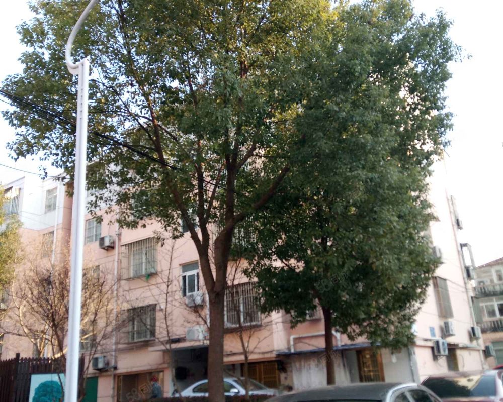 【南苑新村, 南苑新村小区详情,房价走势,房源,业主论坛】- 姜堰58