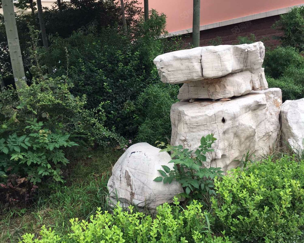 【怡景花园, 怡景花园小区详情,房价走势,房源,业主论坛】- 寿光58