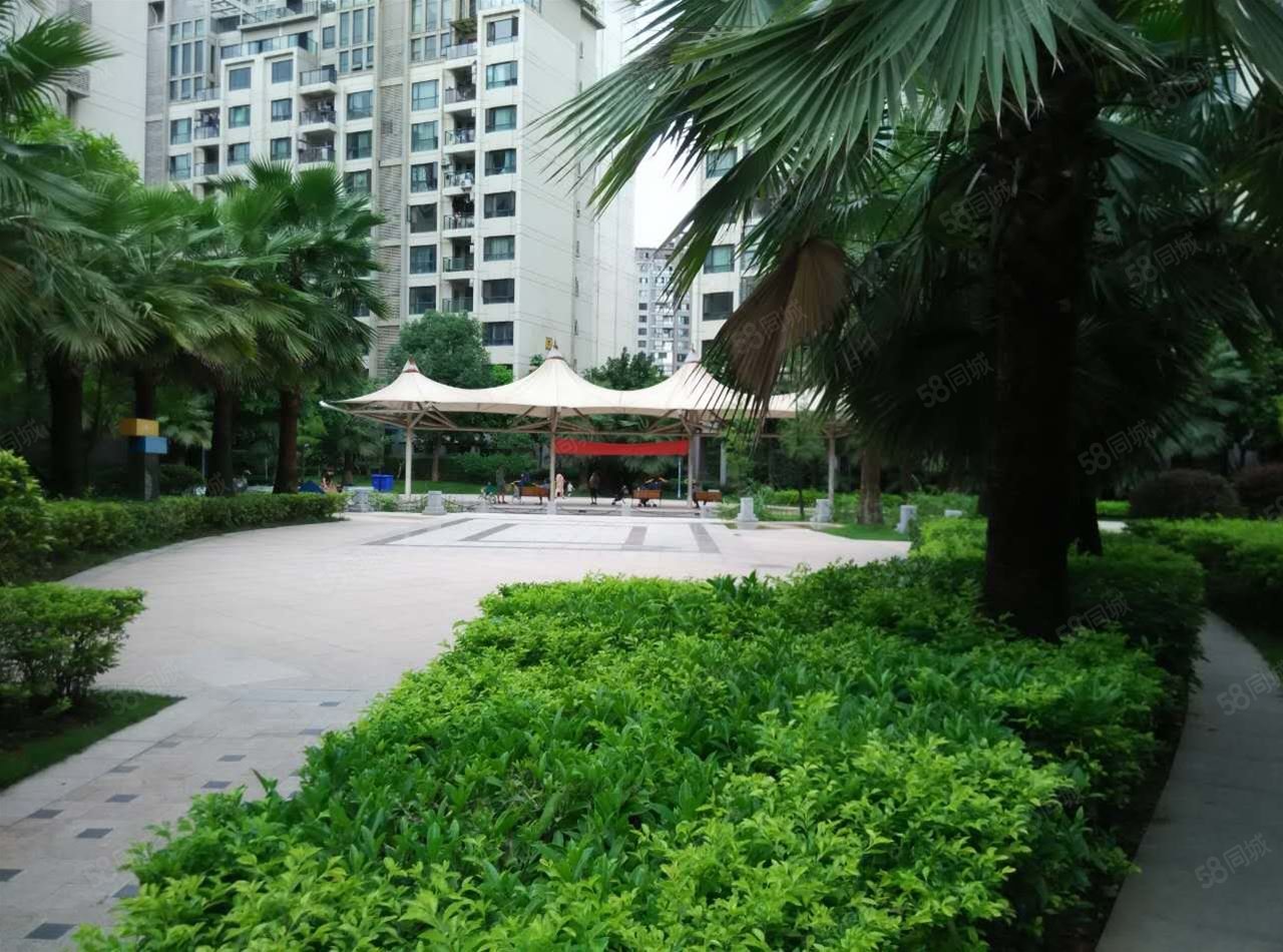 读双天桃,荣和大地一组团花园里-南宁58同城