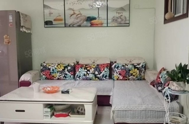 颐馨园  乐园小区 标准3室 急售 免大税