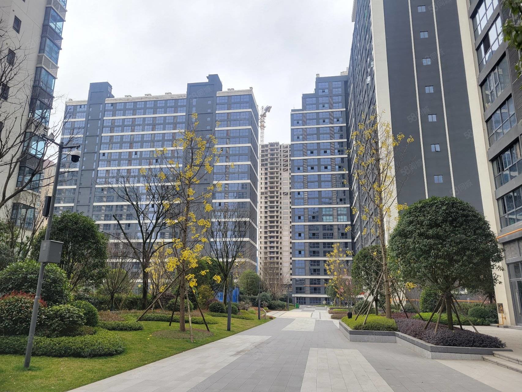 梵华里云锦云玺1室2厅2卫46.7㎡南北45万