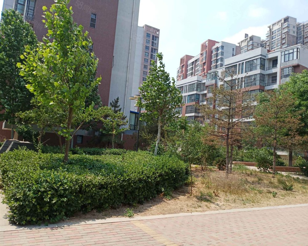 【幸福城(枣强), 幸福城(枣强)小区详情,房价走势,房源,业主论坛】