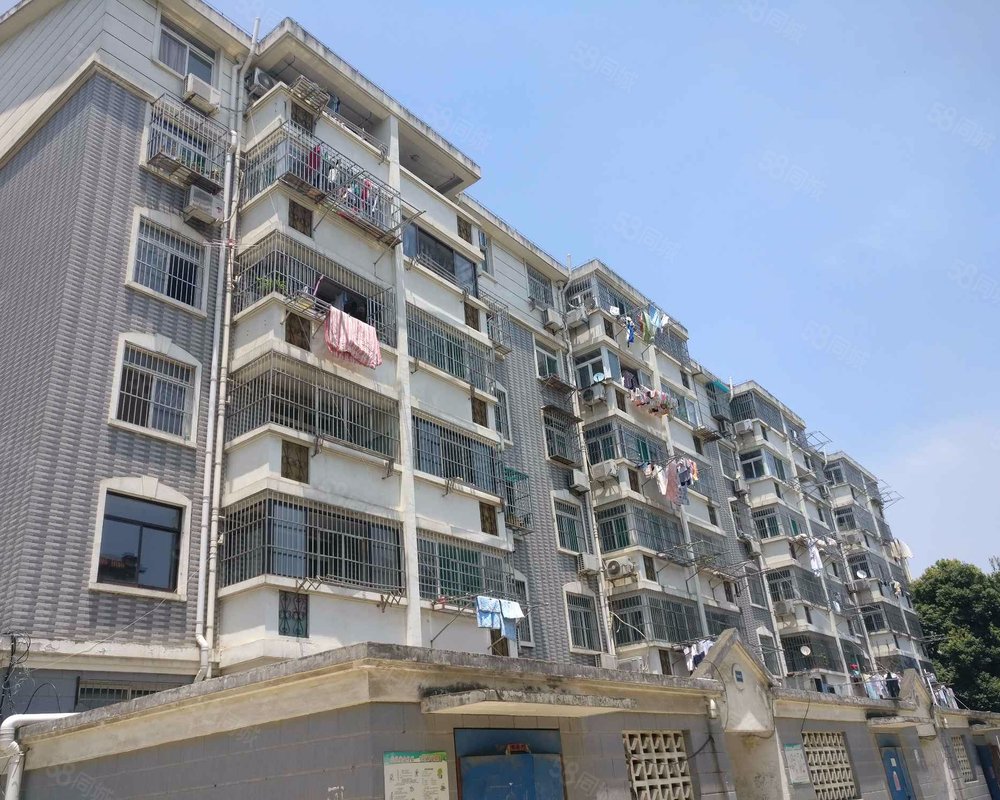 【包河苑(a区), 包河苑(a区)小区详情,房价走势,房源,业主论坛】