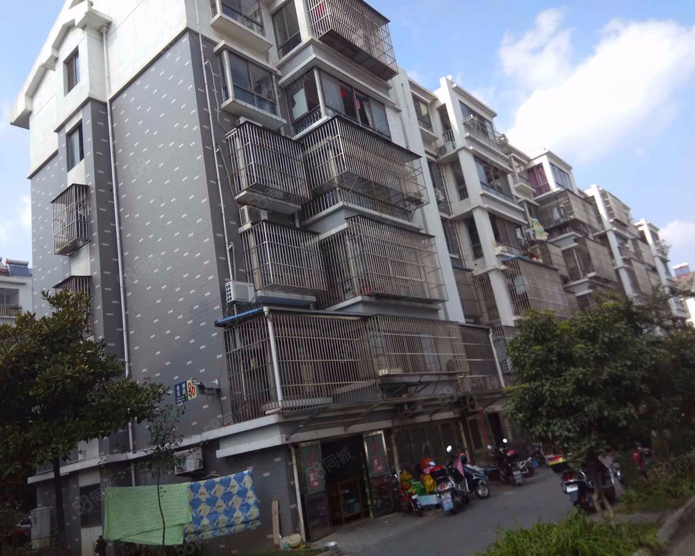 金桥花园三区中环以外