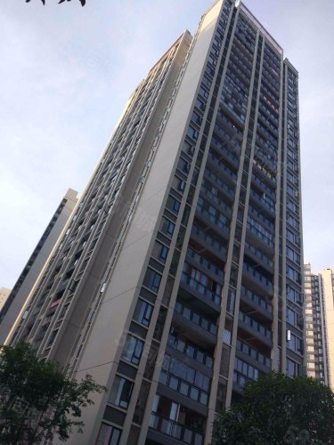 滨江国际d区 清水江景房 单价8500一平清水想怎么装都可以