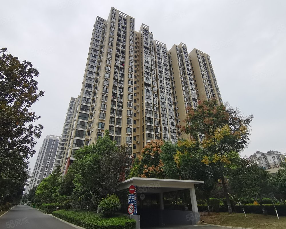 【新加坡城国际五期, 新加坡城国际五期小区详情,房价走势,房源,业主