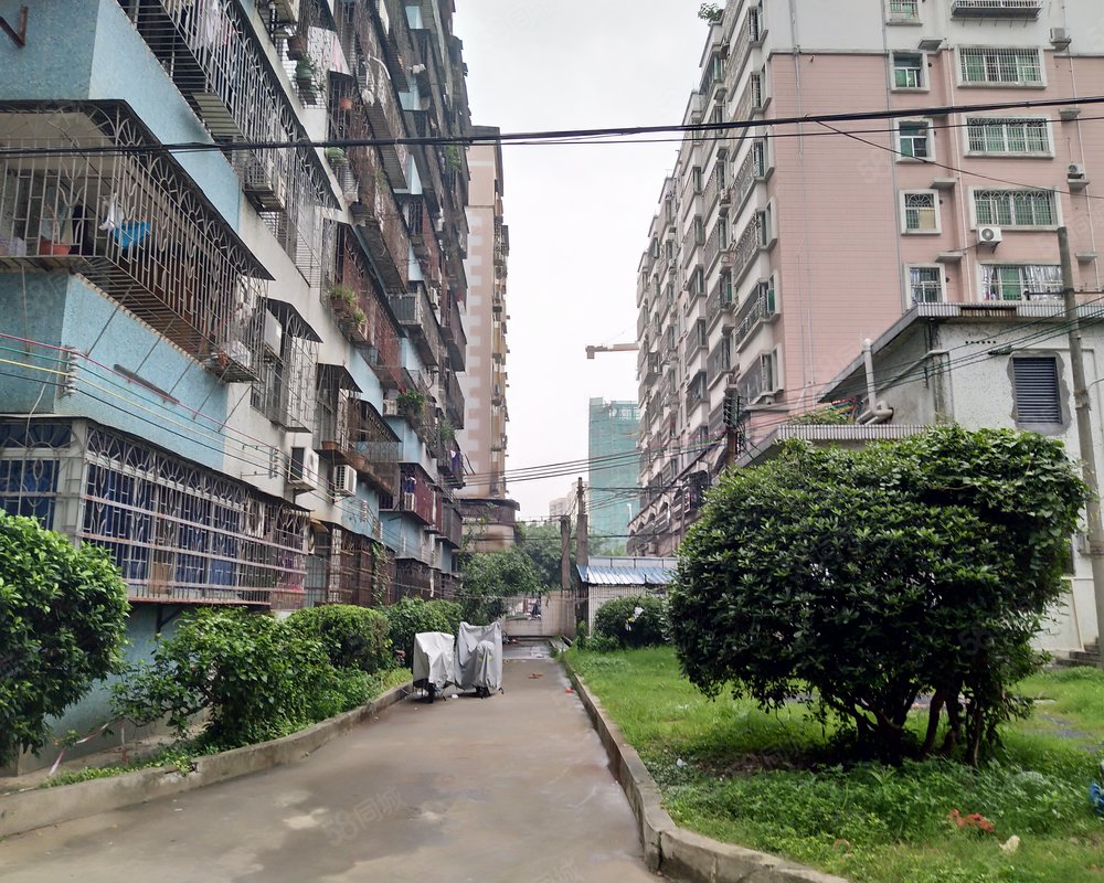 金沙小区
