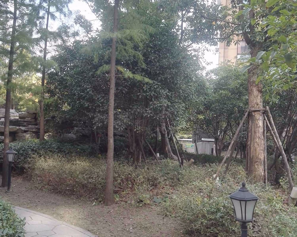 中海丁香花园小区详情,房价走势,房源,业主论坛】- 南通58同城