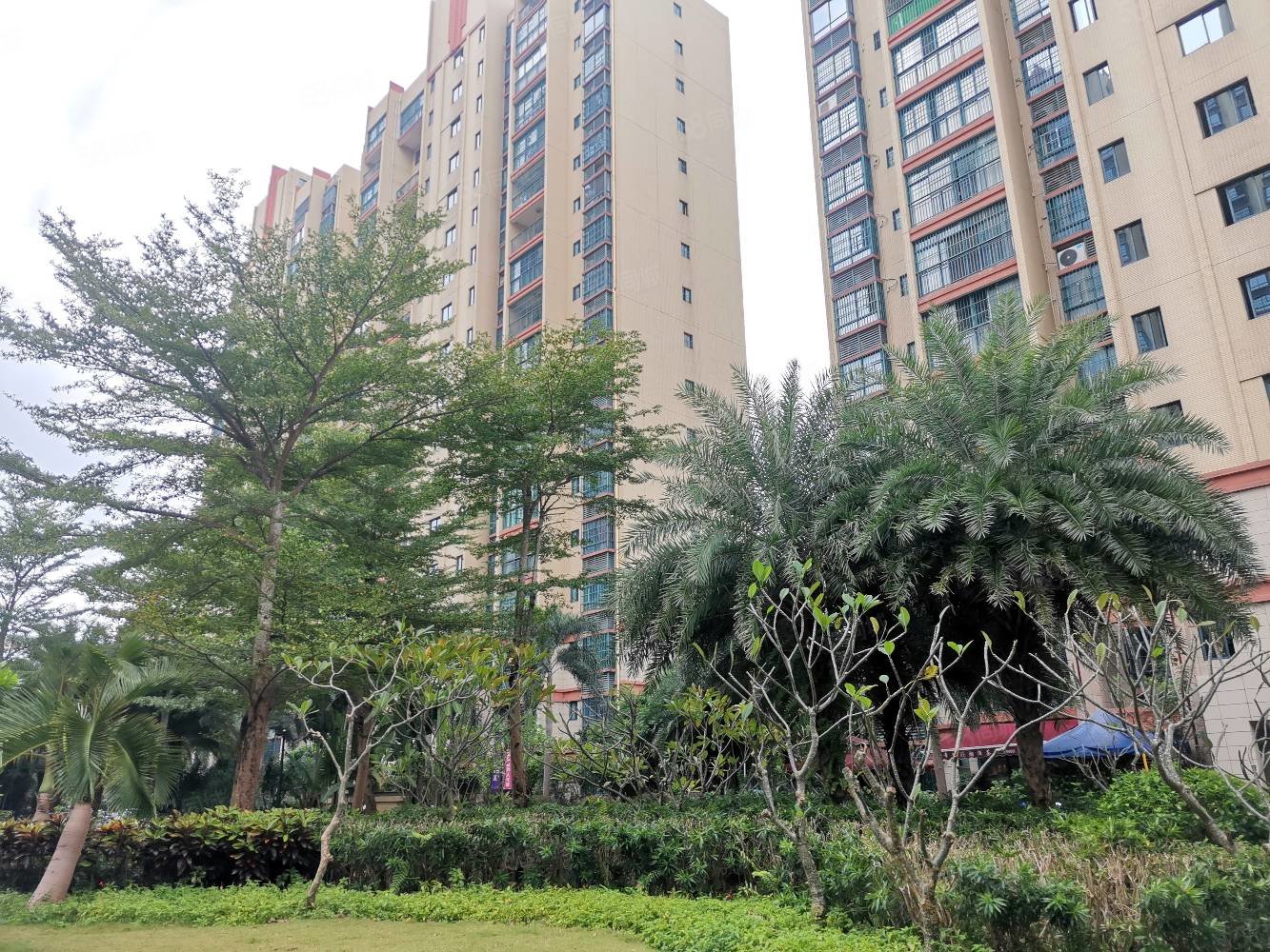 龙华区南海幸福城5房2厅大型社区2梯2户送车位