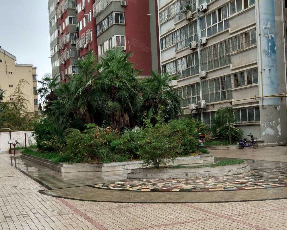 丽景花园(长安)小区详情,房价走势,房源,业主论坛】- 西安58同城