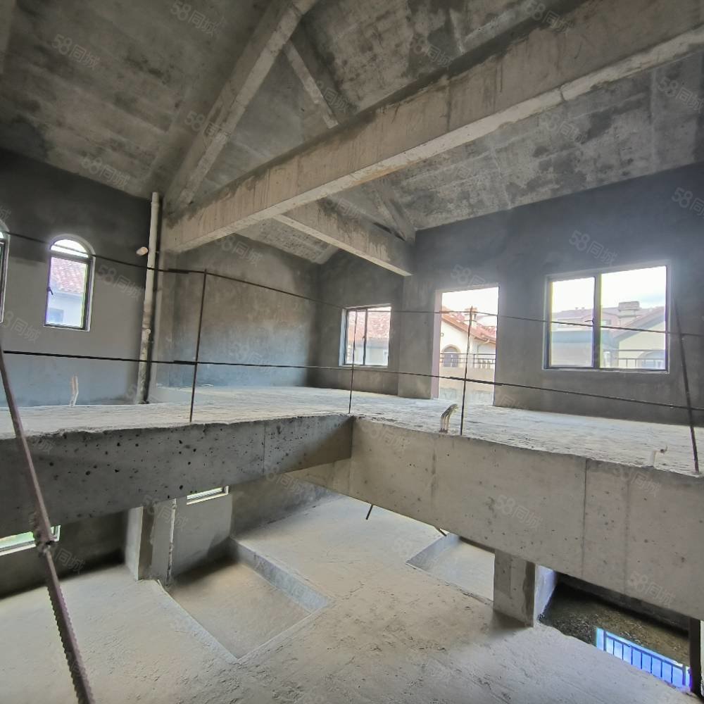 北部新洲莱茵别墅8室3厅7卫540㎡南北396万