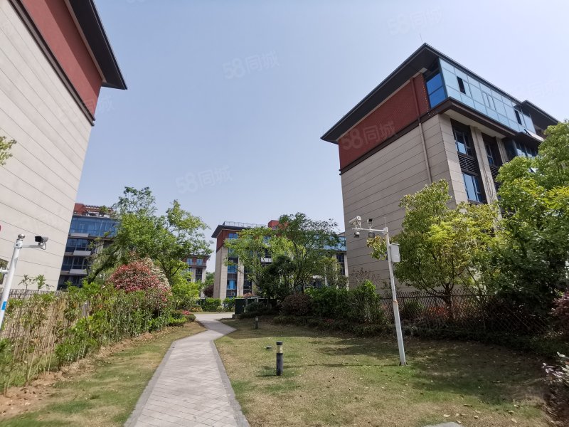 碧桂园洋房140平精装修东西全送随时看房