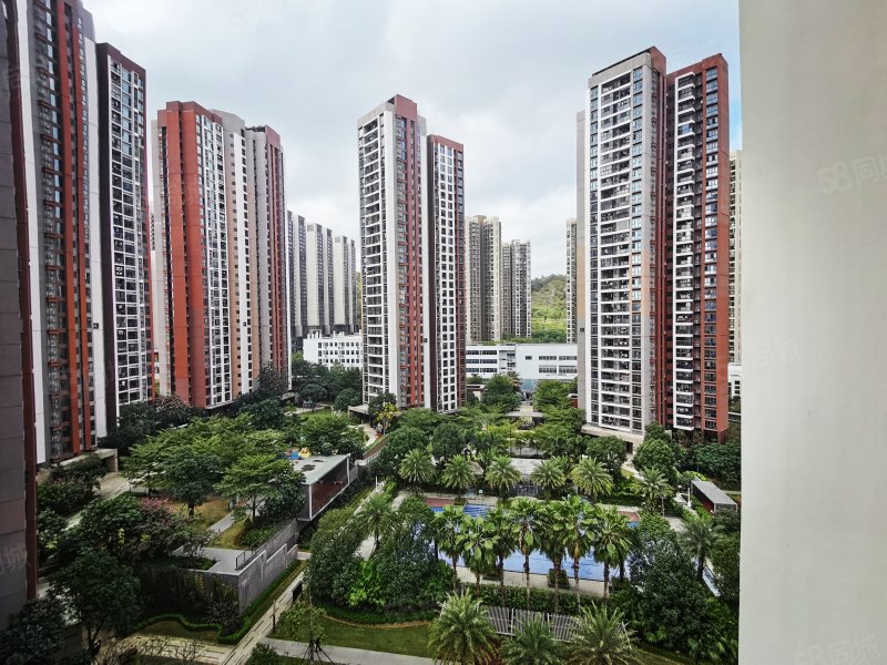 价格近指导价,万科麓城一期-深圳58同城