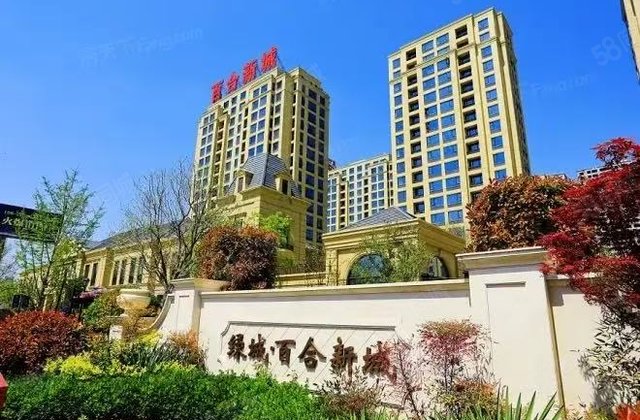 三实验.免大税.东边户.绿城百合新城|3室2厅1卫.地下室.