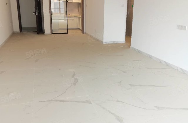 第二实验，碧桂园国岳府 双卫生间 交通便利 精装修 次新小区