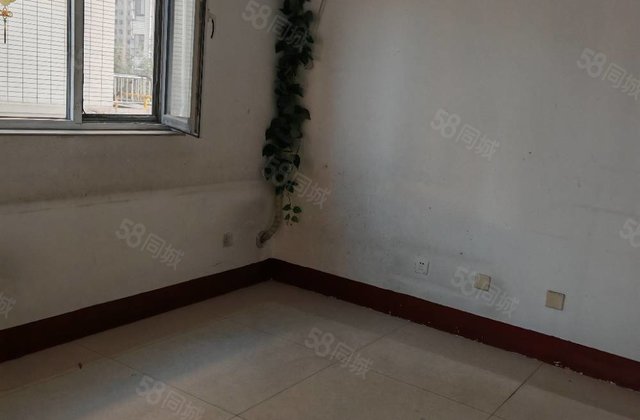 金柱绿城中间楼层3楼东边户，房东急售看房子方便