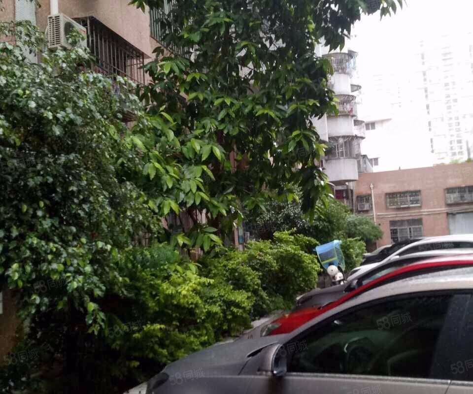 【宝华花园, 宝华花园小区详情,房价走势,房源,业主论坛】- 深圳58