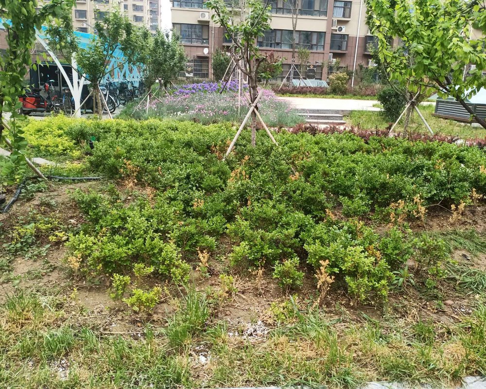 【府前花园, 府前花园小区详情,房价走势,房源,业主论坛】- 莘县58