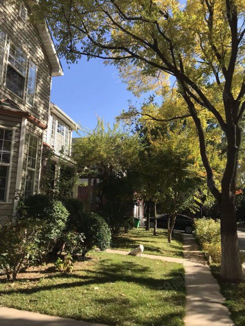 波特蘭花園5室2廳4衛(wèi)417.34㎡南北1889萬