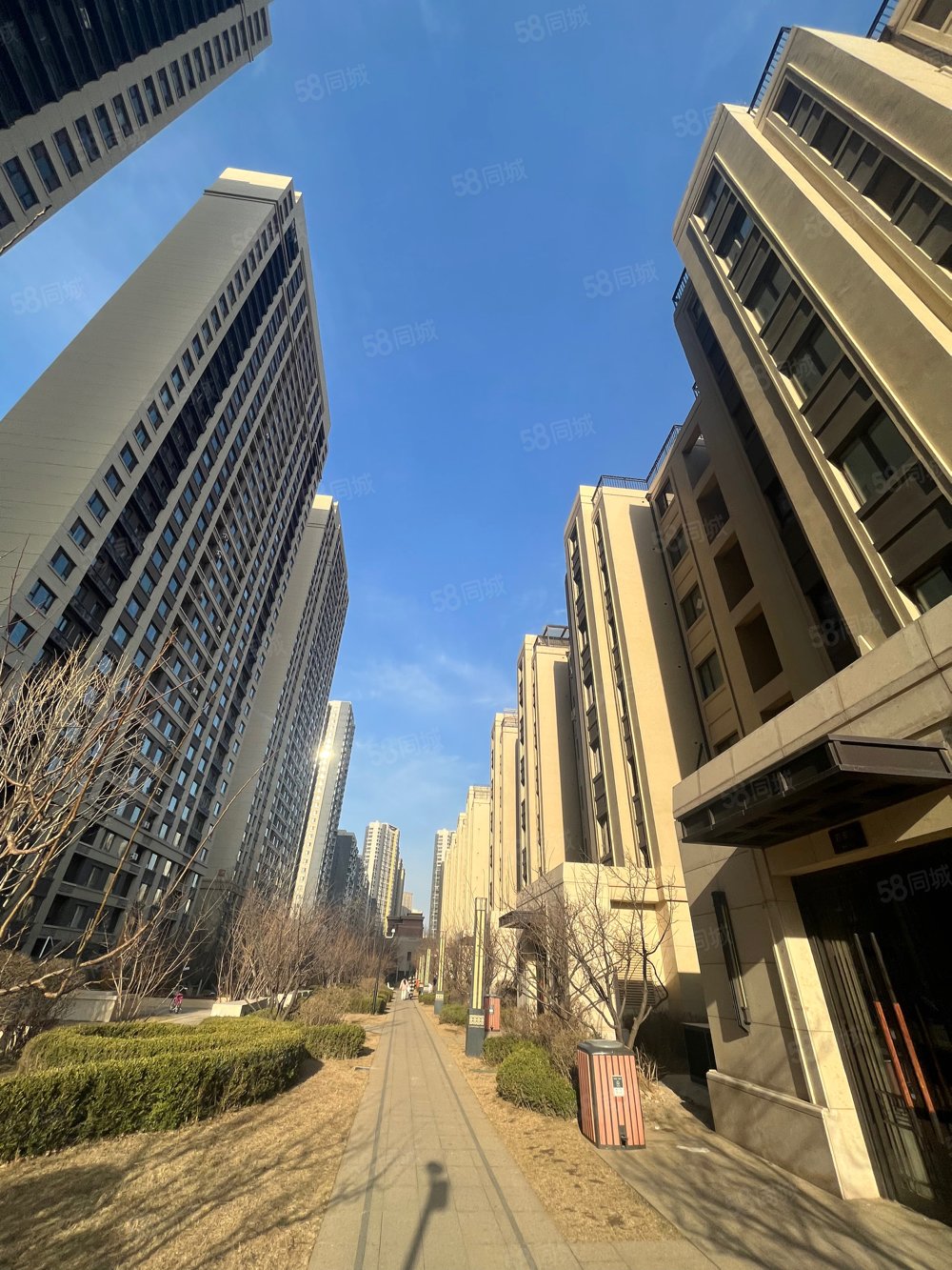 九零就出新园区一手龙湖岸芷汀兰